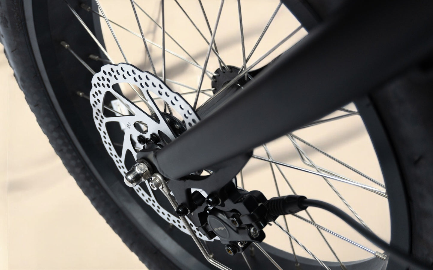 Desert Fox 180 mm High-Performance Brake Disc for Bikes & Fatbikes